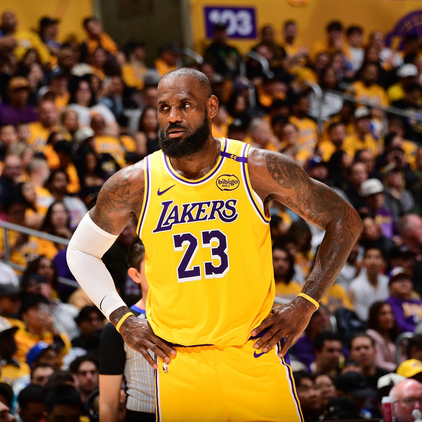 平博体育-詹姆斯回归赛场，战术调整首场状态亮眼，DWG观众沸腾！-平博体育